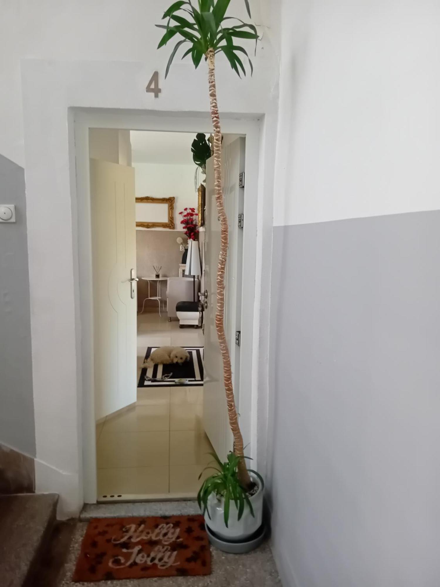 Apartment Top Centar バニャ・ルカ エクステリア 写真